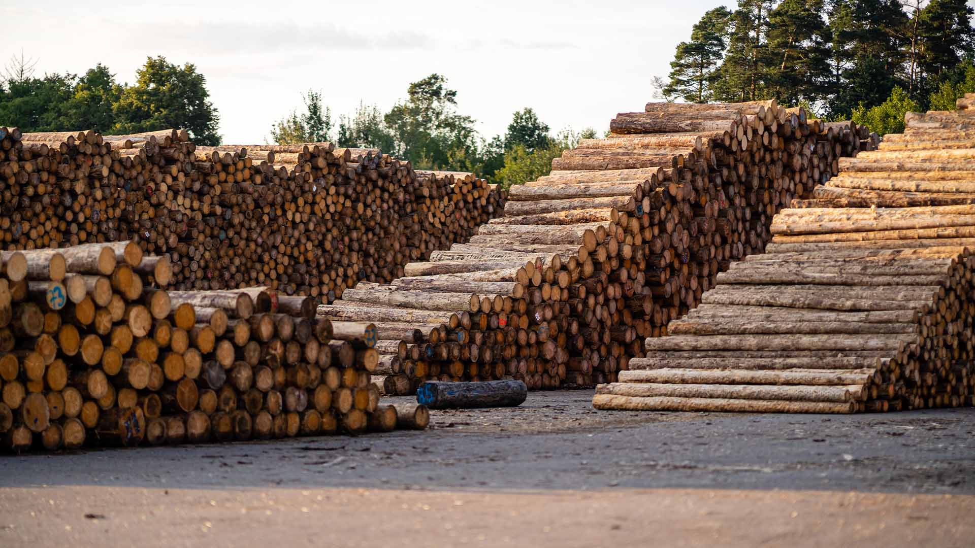 Landesbeirat Wald und Holz Thüringen